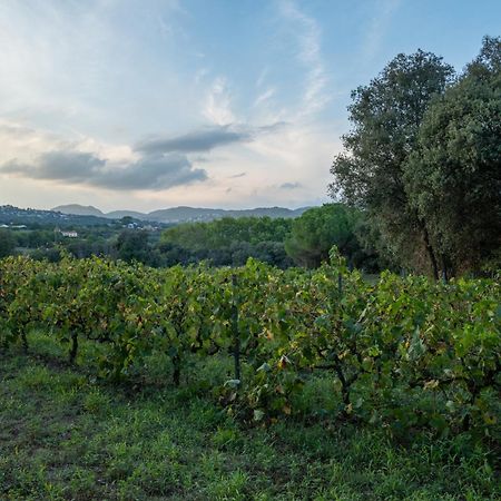 Casa Rural El Bruguer Vell Santa Eulalia de Ronsana Ngoại thất bức ảnh